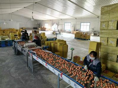 甘味農(nóng)產(chǎn)品企業(yè)商標品牌與農(nóng)產(chǎn)品生產(chǎn)的協(xié)同發(fā)展